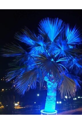 Palmiye Ağaç Aydınlatma Işık Boyama Led 35cm LAA102