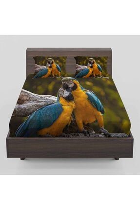 Sarı Mavi Renkli Papağanlar Desenli Lastikli Çift Kişilik Lastikli Çarşaf Takımı 160x200cm Ossociftcarsa77