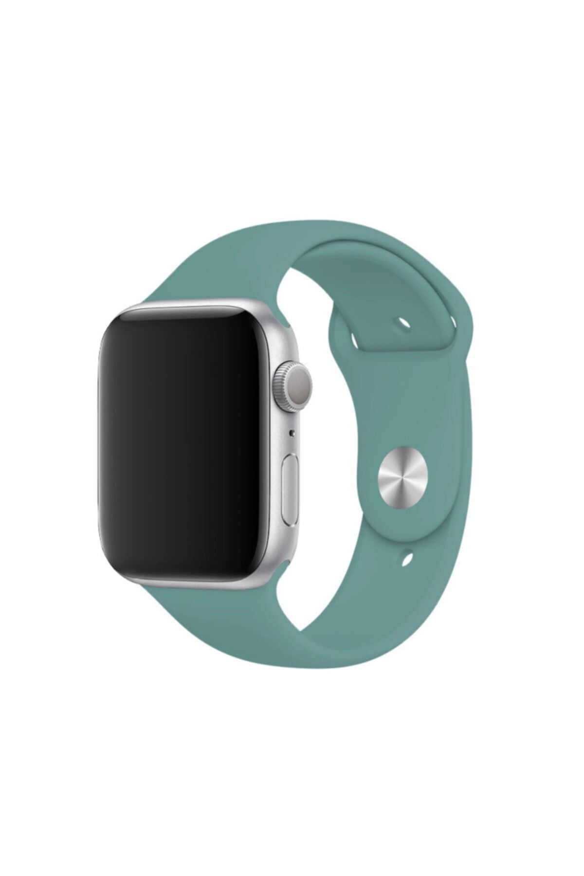 Apple watch cactus band store