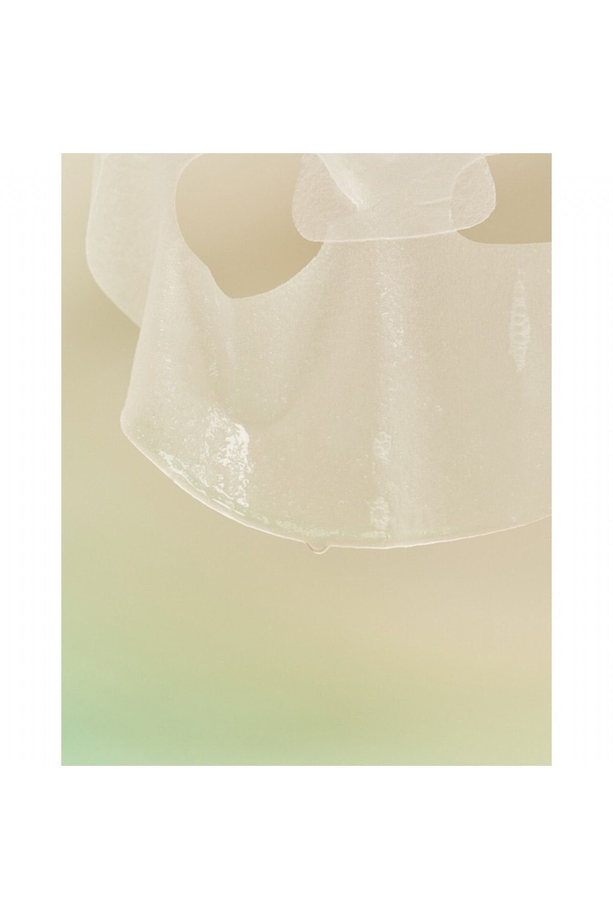 ماسک صورت آرامش قلب HOUTTUYNIA CORDATA بخش 5 قطعه Goodal
