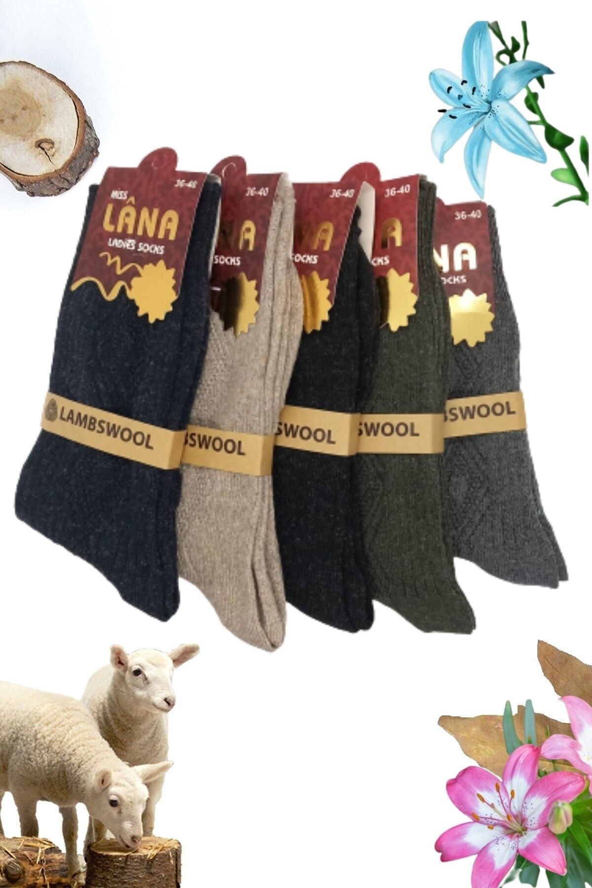 Miss Lana Ladies Socks Socks 5 Pairs Winter Wool Socks Lambswool