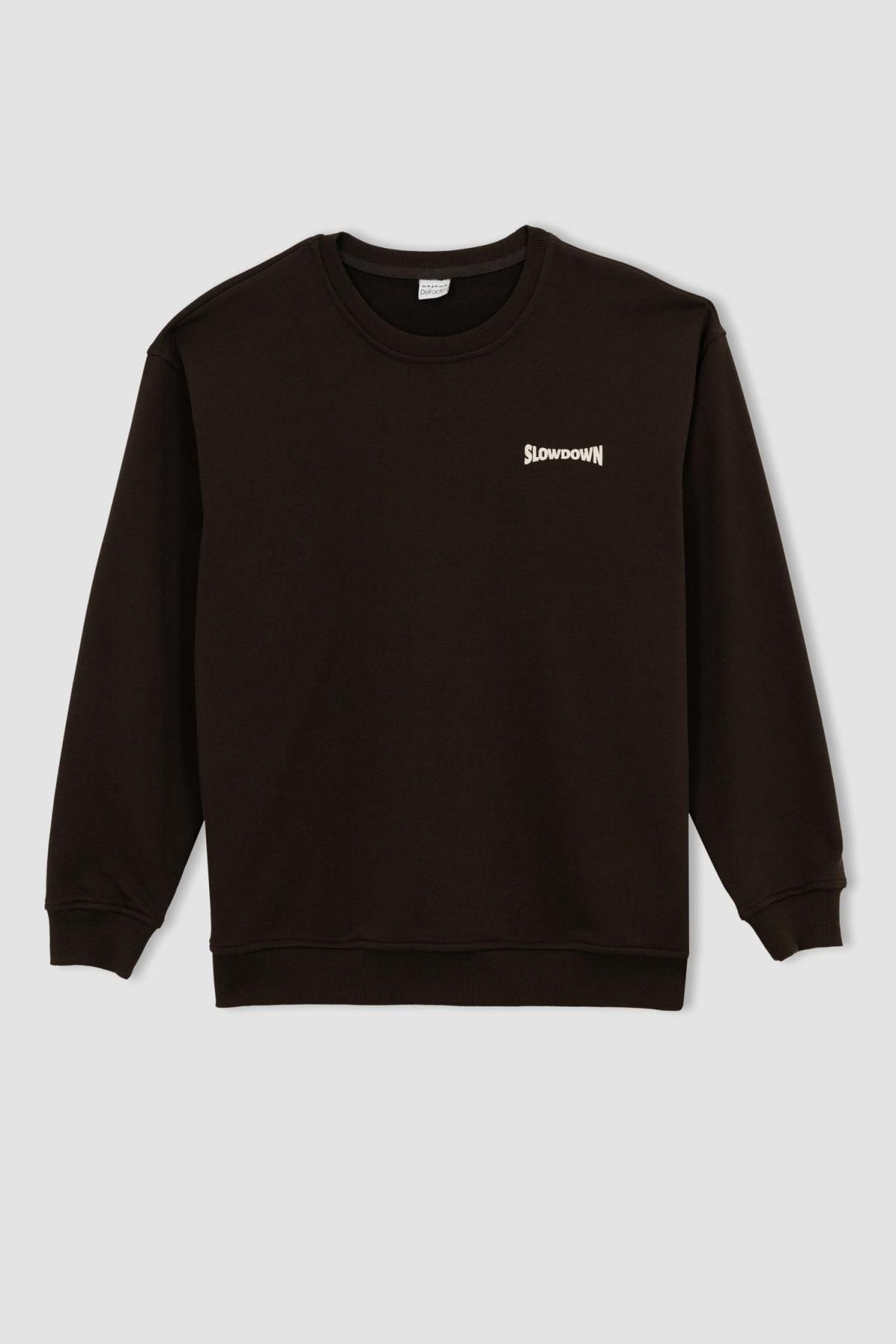 DeFacto Sweatshirt Braun Oversized