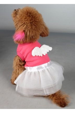 Maxdesign Melek Kanatlı Tütülü Elbise Kedi Köpek Kıyafeti MAXELBINT