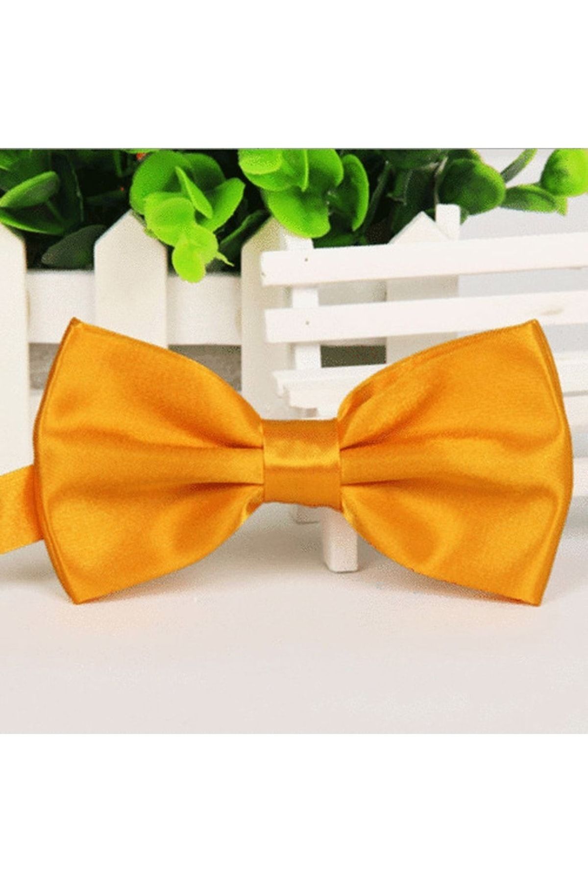 Trenderrs Papion Din Satin Pentru Baieti Masculin - Single Dimension