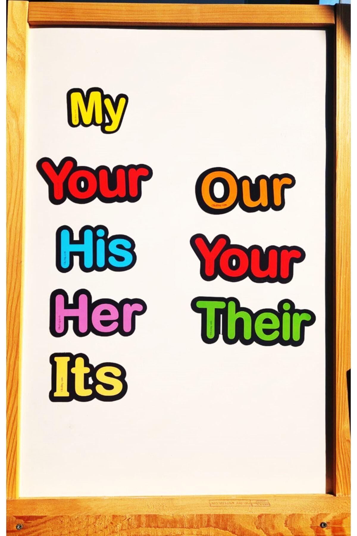 Okuling Possesive Adjectives Manyetik Ingilizce Kelime Kartları