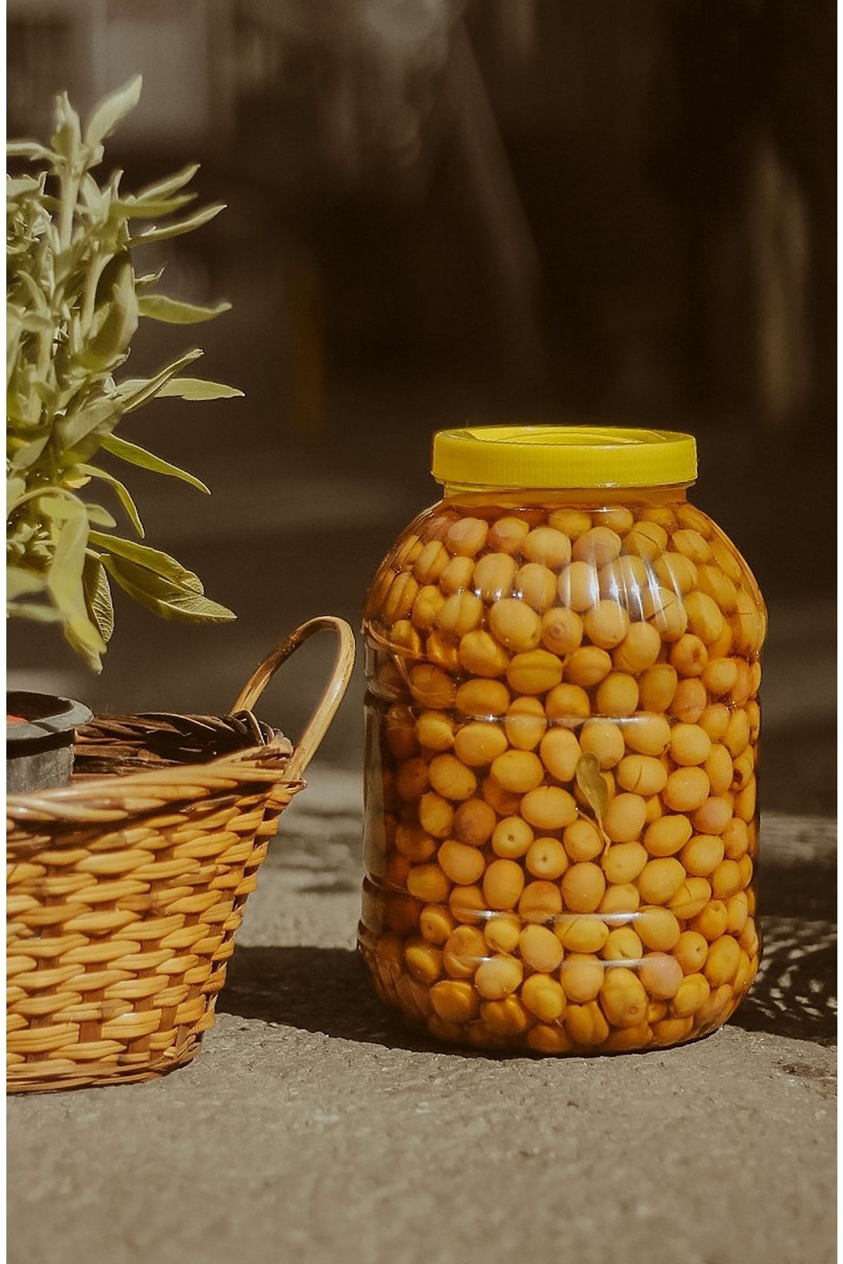 Bayramoğlu Yeşil Zeytin Kırma Yeşil Zeytin 5kg/brüt. Mut Zeytini