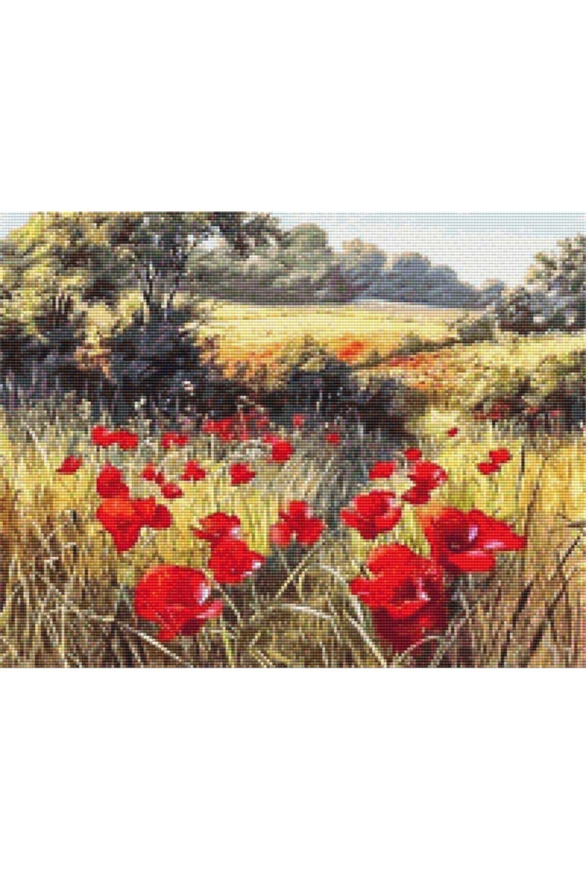 mozaik puzzle 50 x 40cm e2020 1585 m