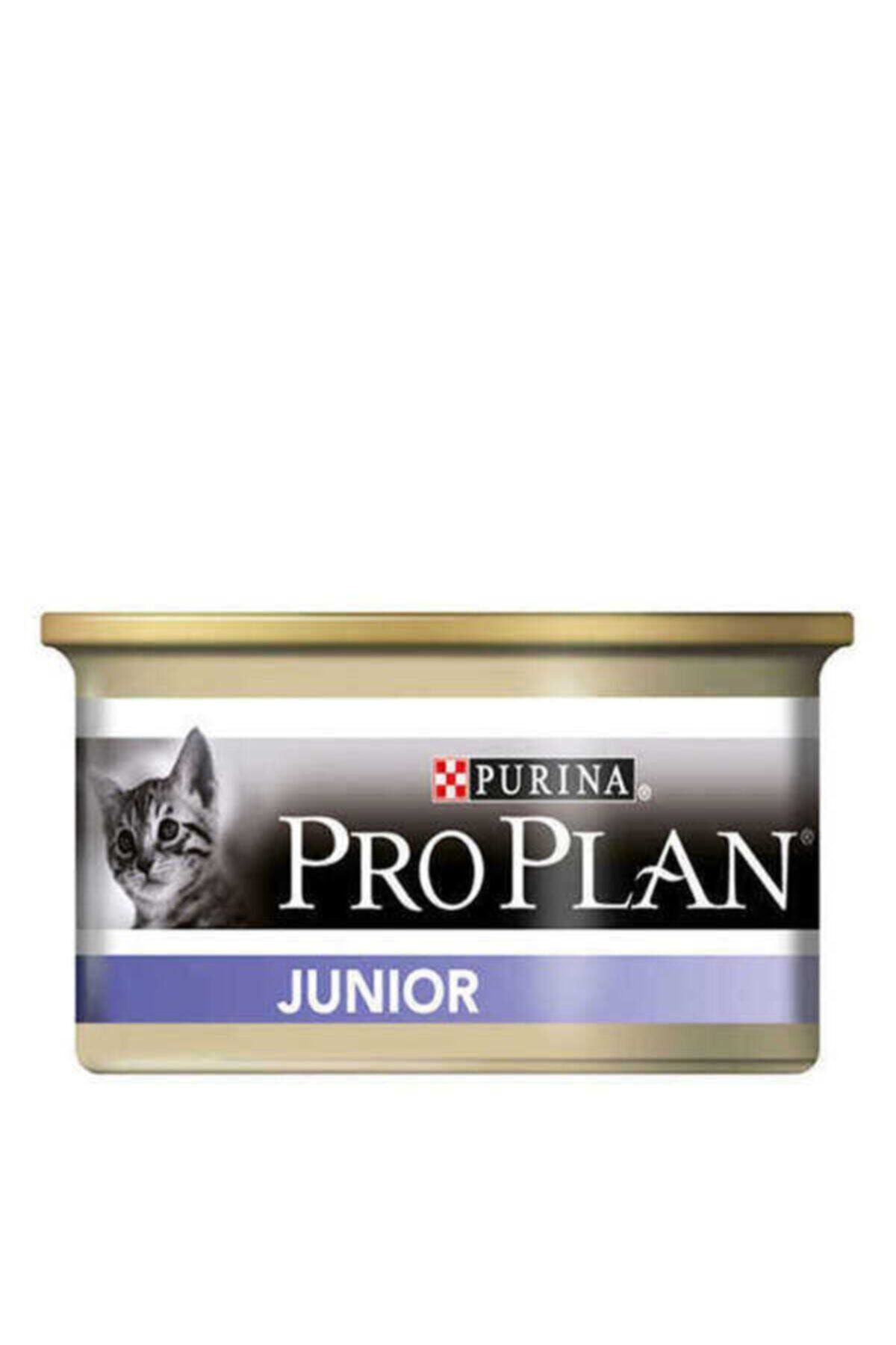 proplan pro plan tavuk etli yavru kedi