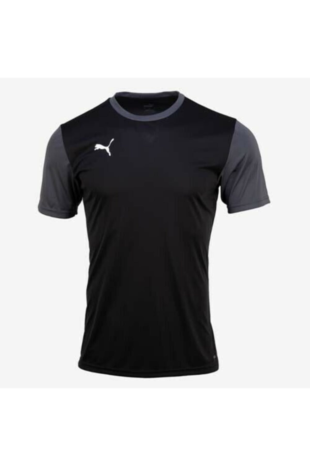 Puma 65648403 Men Team Goal 23 Sideline T-shirts Black