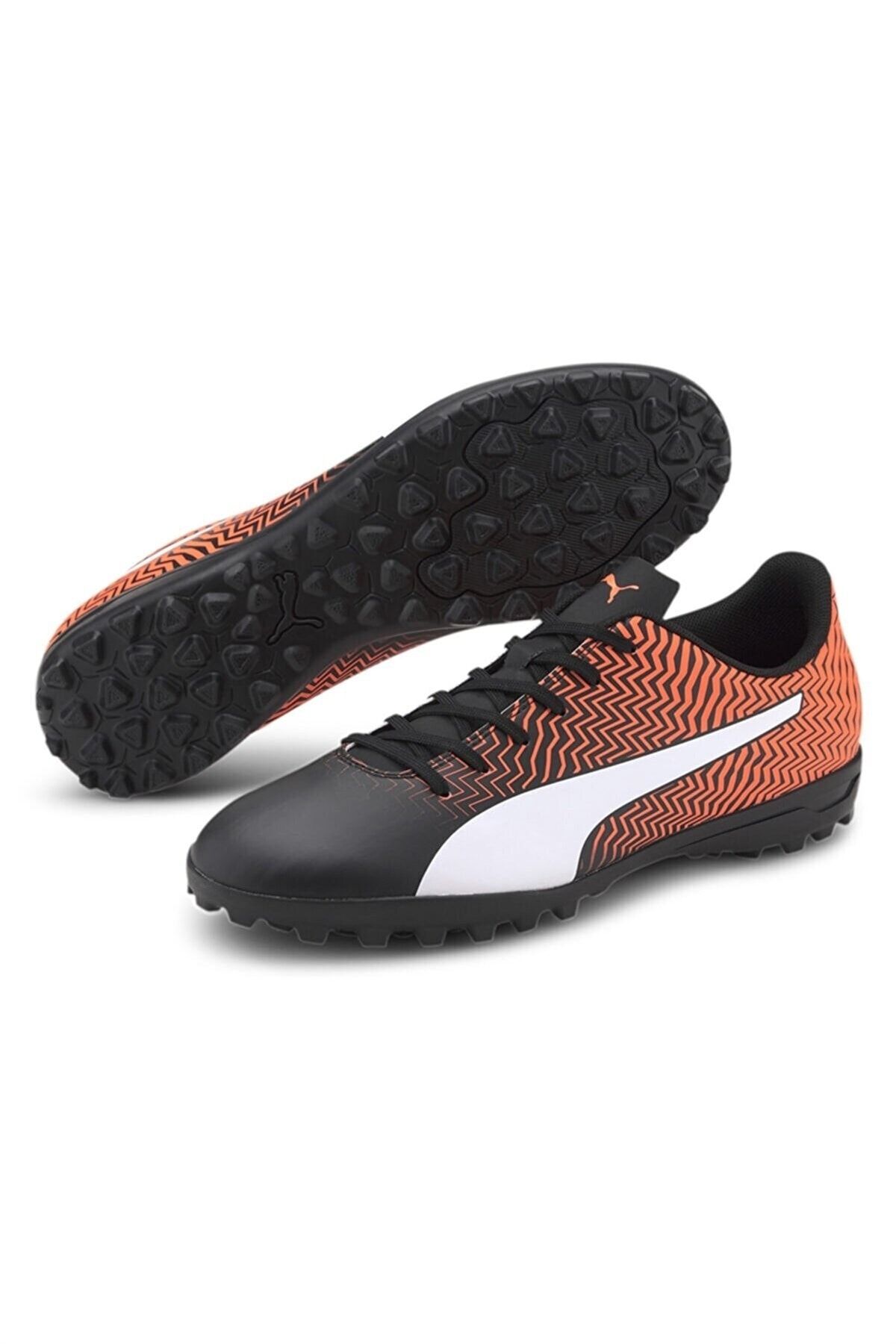 Rapido II TT Puma
