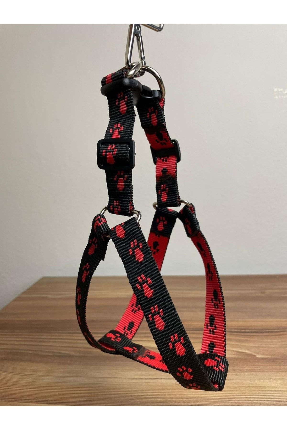 Dog harness store 2025