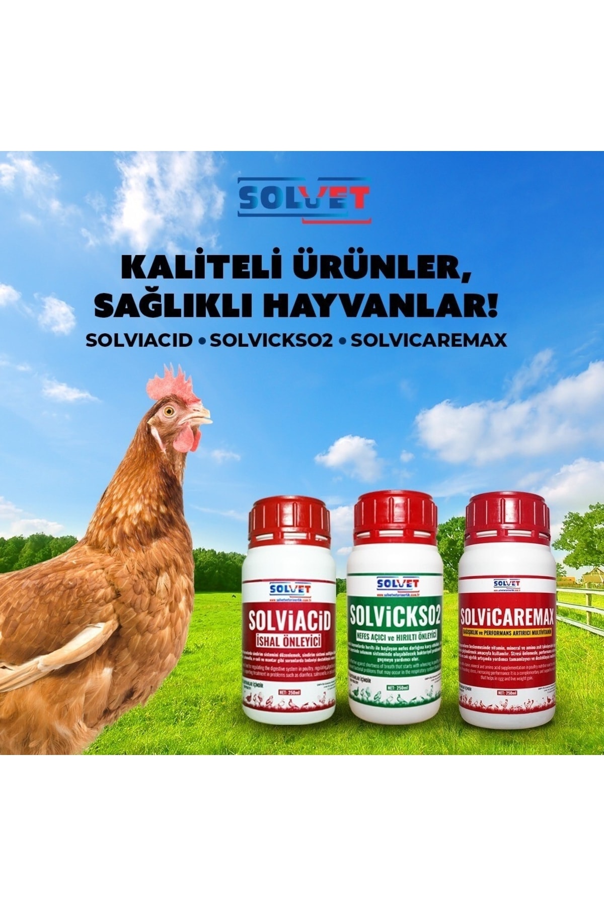 Solvet Solvicaremax-solvicks02-solviacid 250 Ml 3'lü Set