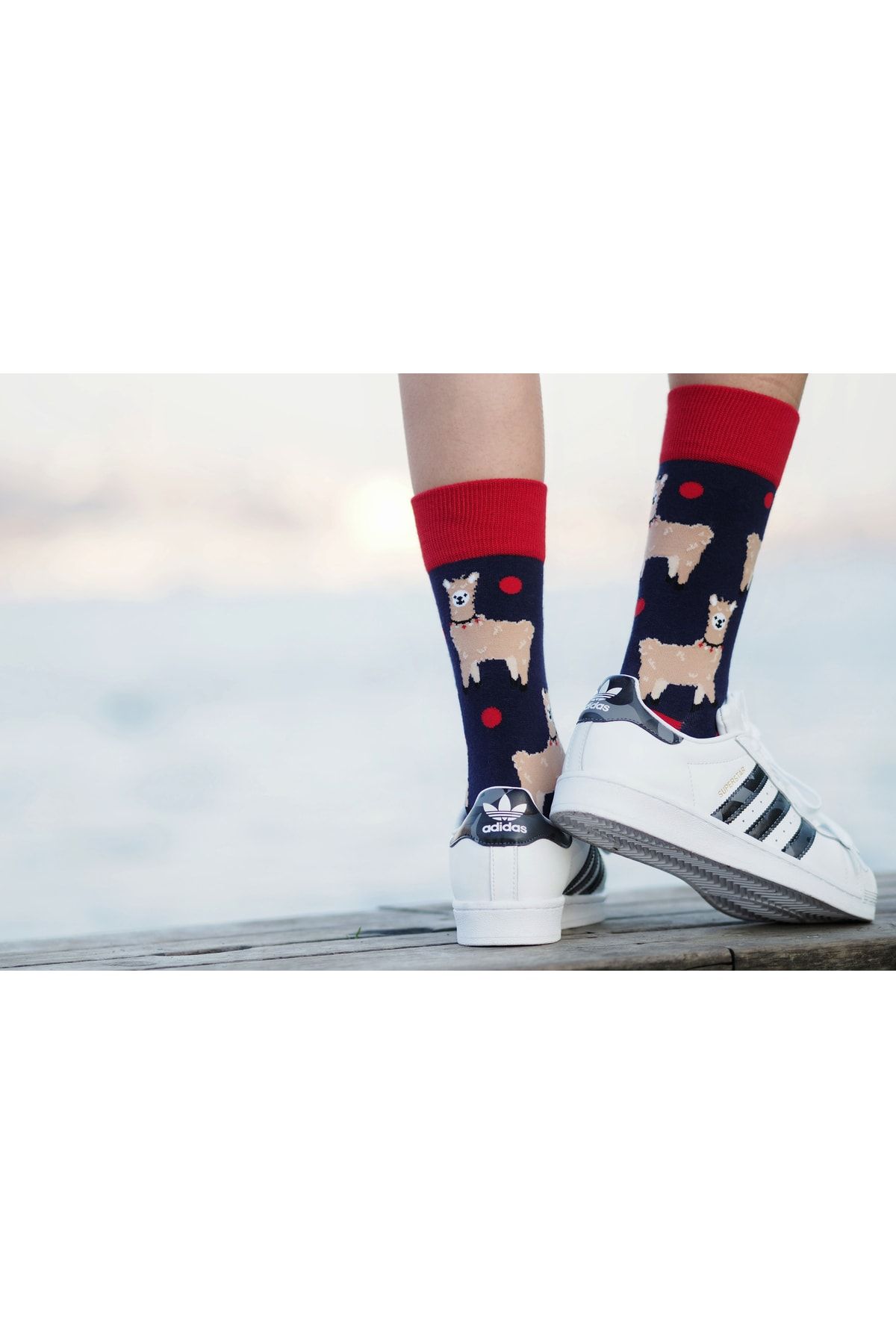 JIGGLE WIGGLES-Lama Patterned Socks 2