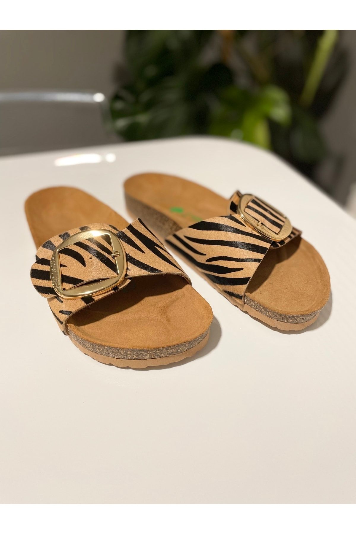 Madrid big buckle zebra cheap