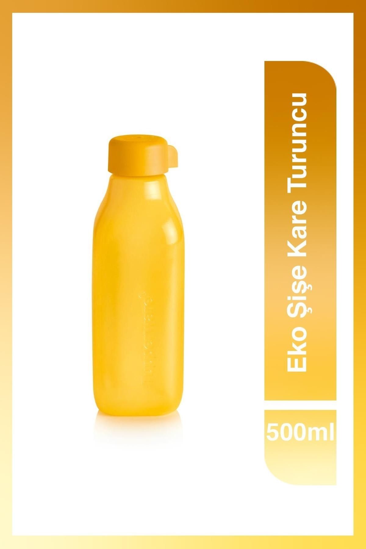 Tupperware] Eco Bottle 500 ml in purple, Furniture & Home Living