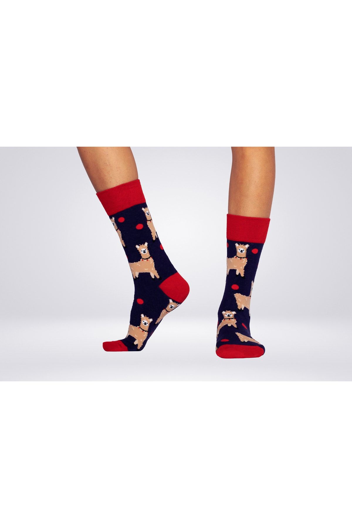 JIGGLE WIGGLES-Lama Patterned Socks 3