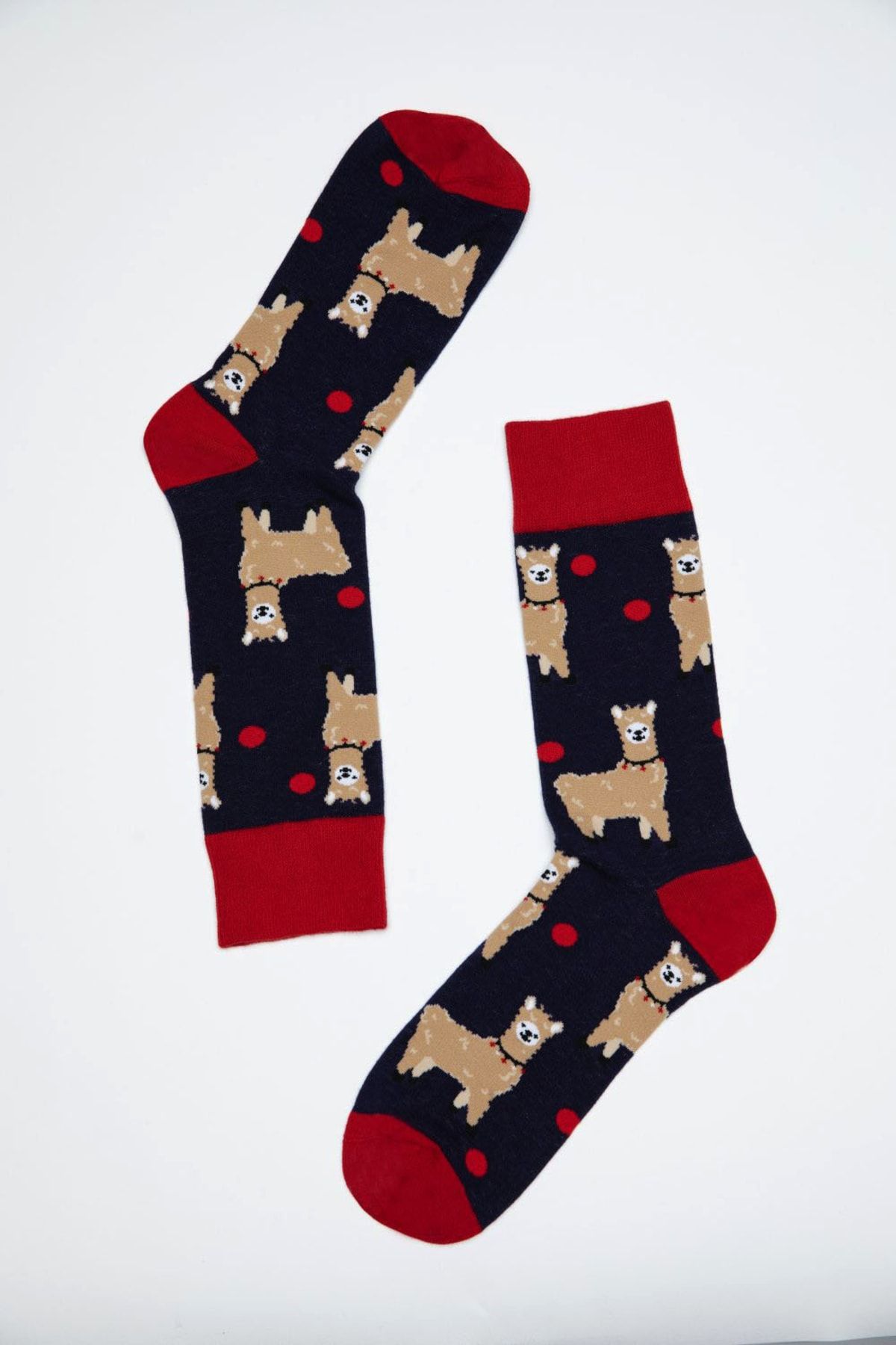 JIGGLE WIGGLES-Lama Patterned Socks 4
