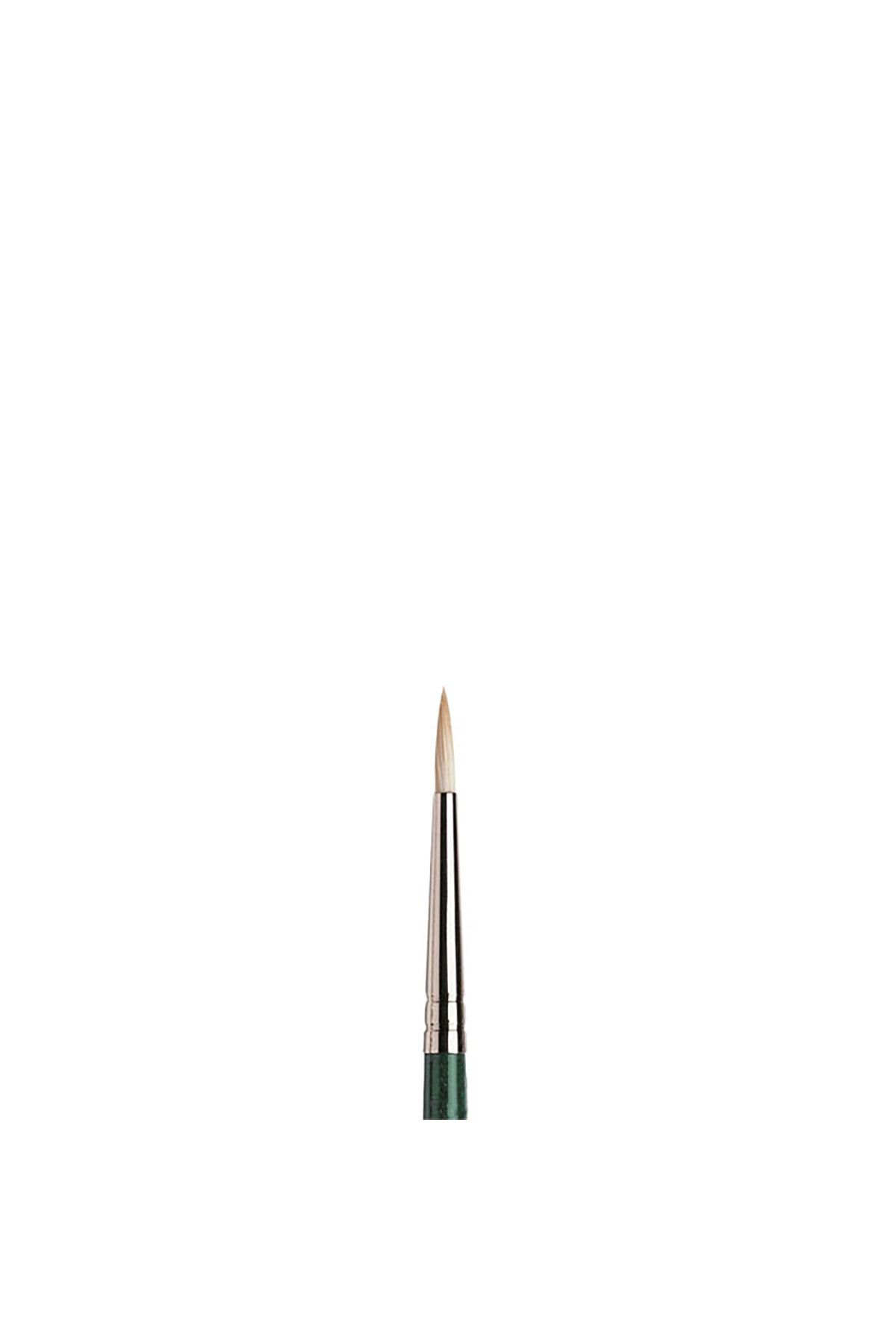 Winsor Newton-Winsor & Newton Winton Long Handle Round Brush with Hard Bristles No:2 1