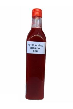 Sade Organik Kizilcik Suyu 1 Kg Trendyol
