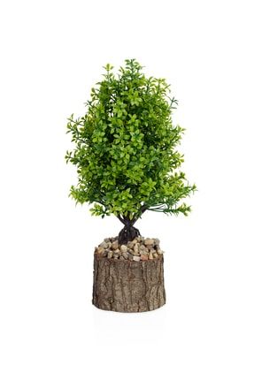 Doğal Kütük Saksıda Taşlı Yapay Mini Çam Ağacı G21K-CCKMSN