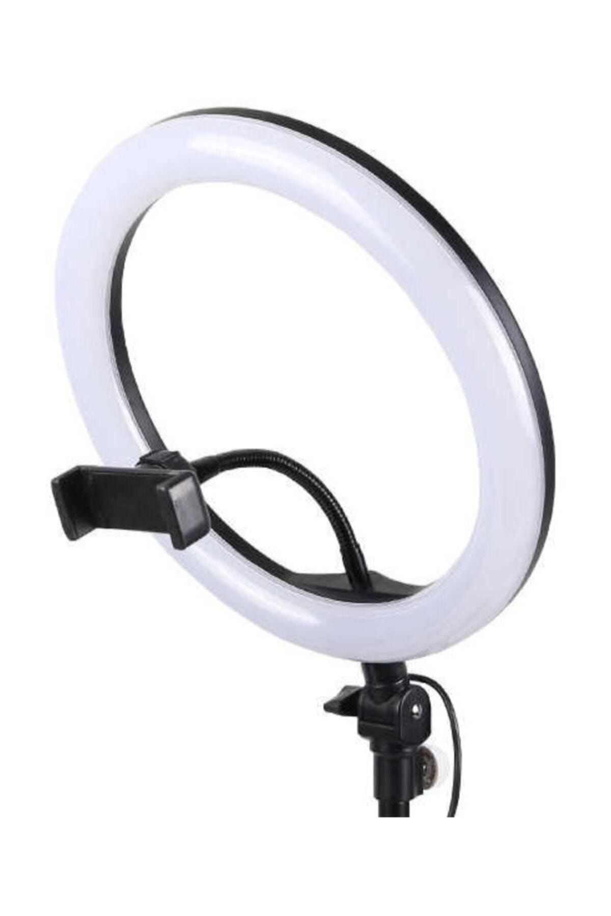 Кольцевая лампа купить озон. Кольцевая лампа 26 см.Ring fill Light zd666. Светодиодная Кольцевая лампа Ring fill Light 26 см со штативом. Кольцевая лампа Ring fill Light. Кольцевая лампа 26см CXB-260.