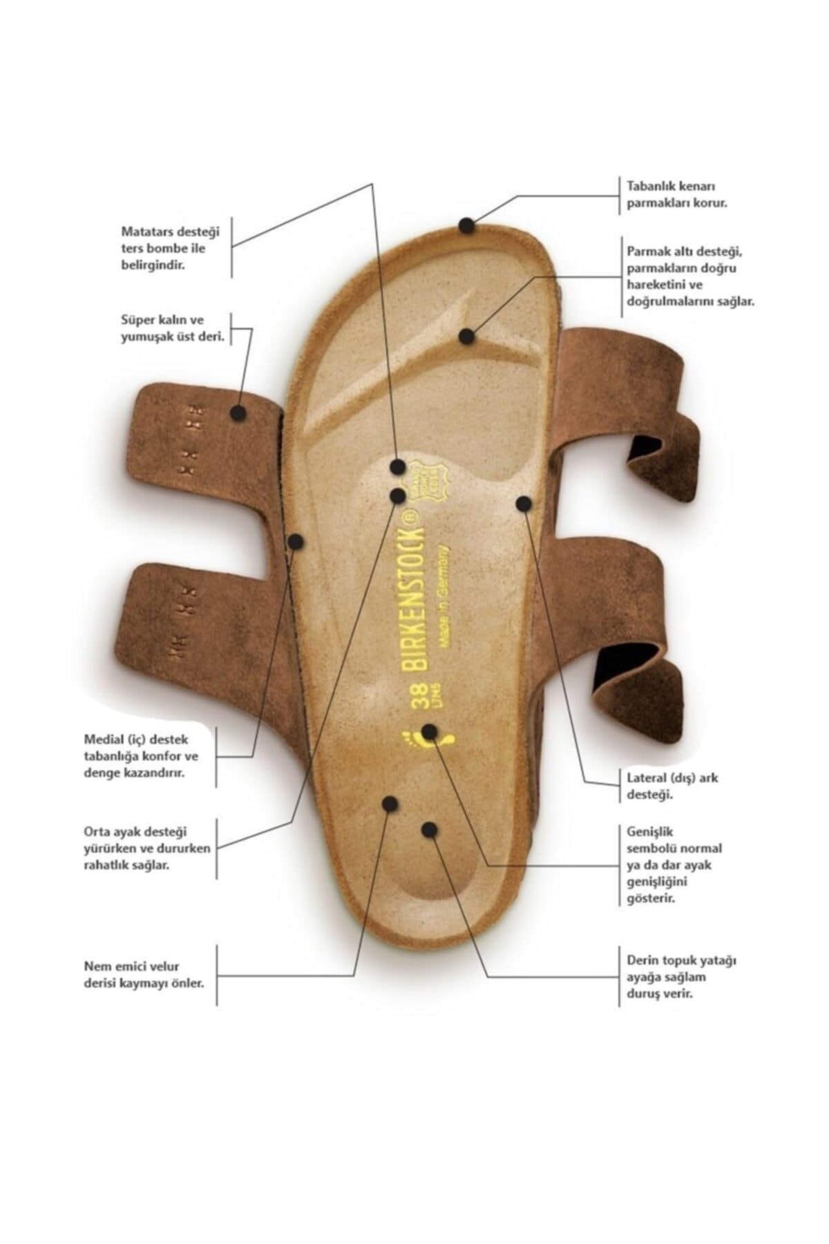 دمپایی بیرکن استاک مردانه چرم مصنوعی قهوه ای  راسته      Classical/کلاسیک | Birkenstock 44701 TR - تصویر 8