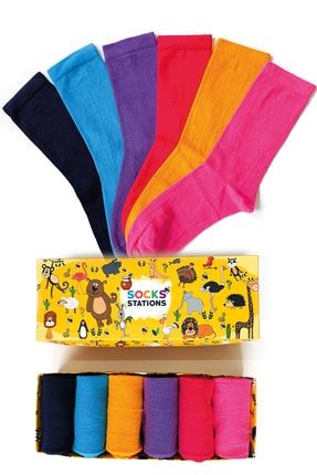 Pastel Renkler Çorap Kutusu 6’lı ss0pastel001