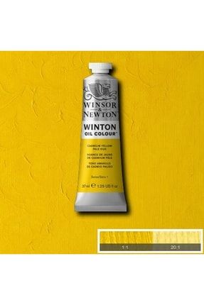 Winton Yağlı Boya 37ml Cadmium Yellow Pale Hue / 119 1414 119