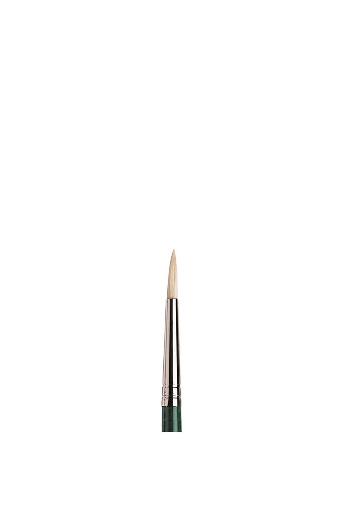 Winsor Newton-Winsor & Newton Winton Long Handle Round Brush with Hard Bristles No:3 1