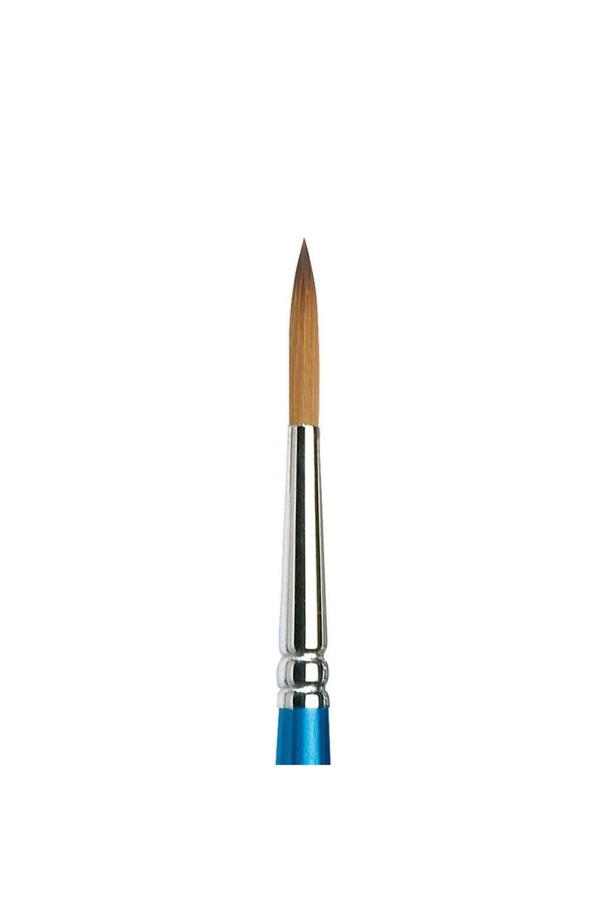 Winsor Newton-Winsor & Newton Cotman Series 222 Short Handle Synthetic Design/Detail Brush No:6 1