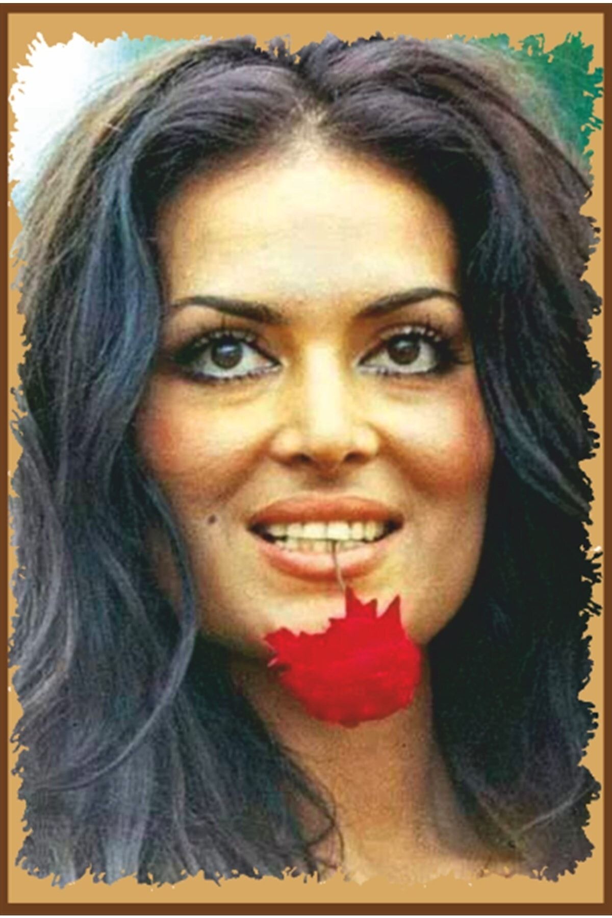 Hayat Poster Türkan Şoray Yeşilçam Portre Retro Ahşap Poster