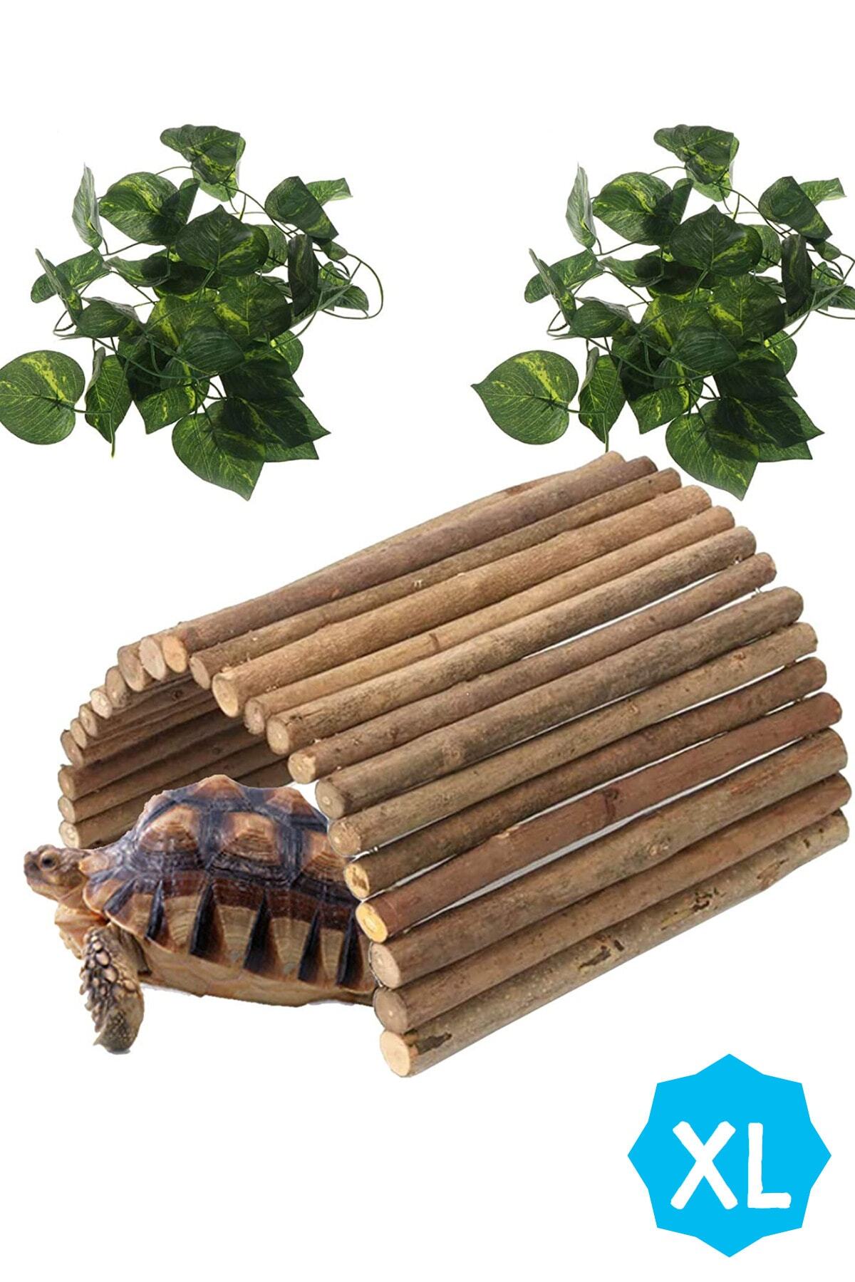 Alyones Sürüngen Sığınağı Köprüsü Tırmanma Merdiveni (50cm X 30cm) Doğal Saklanma Yaşam Alanı Dekoru