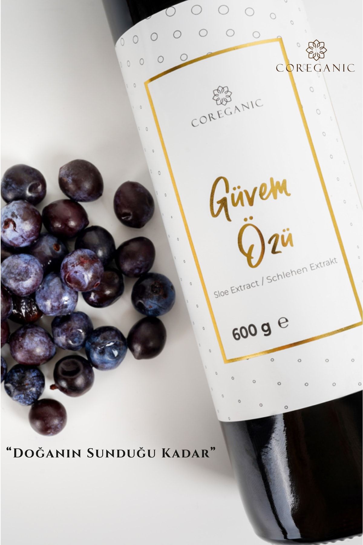 Güvem Eriği Özü - 6