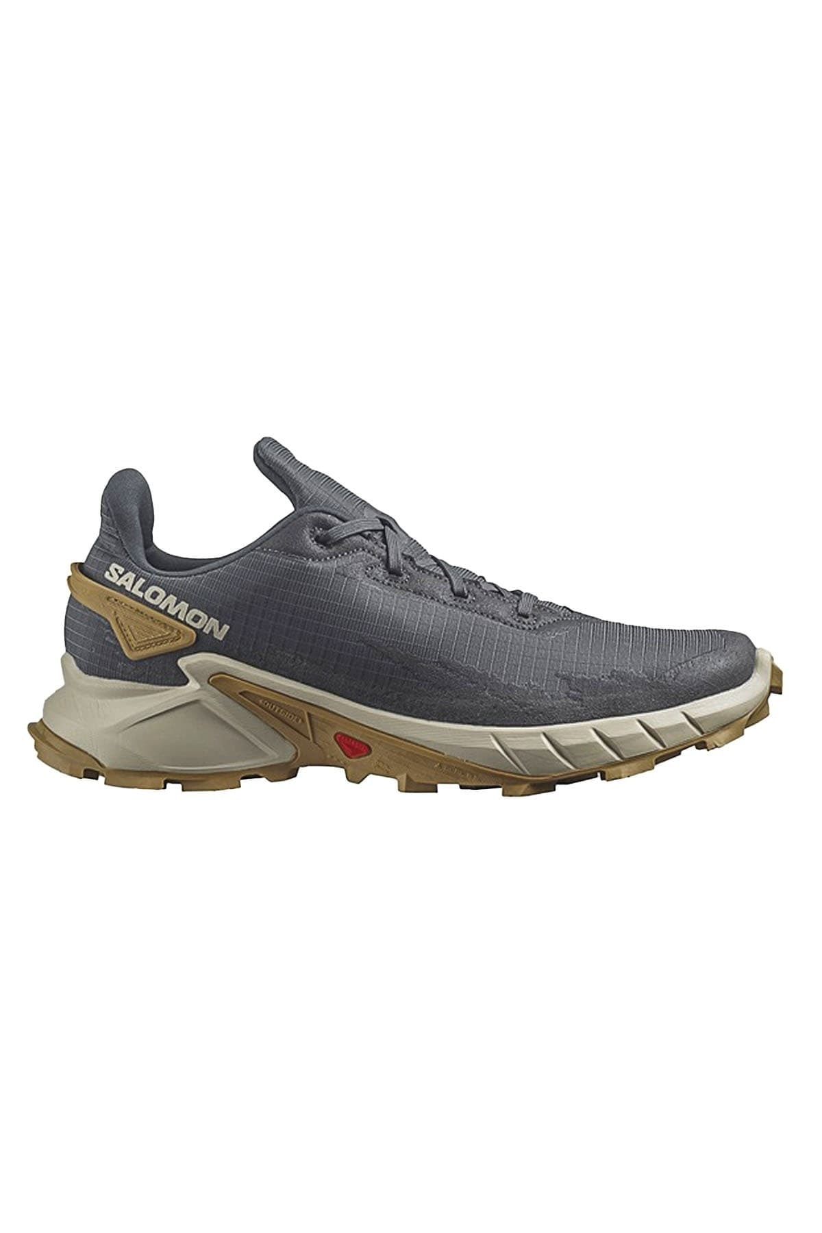 Salomon Alphacross 4 Erkak Ayakkabı L41724100