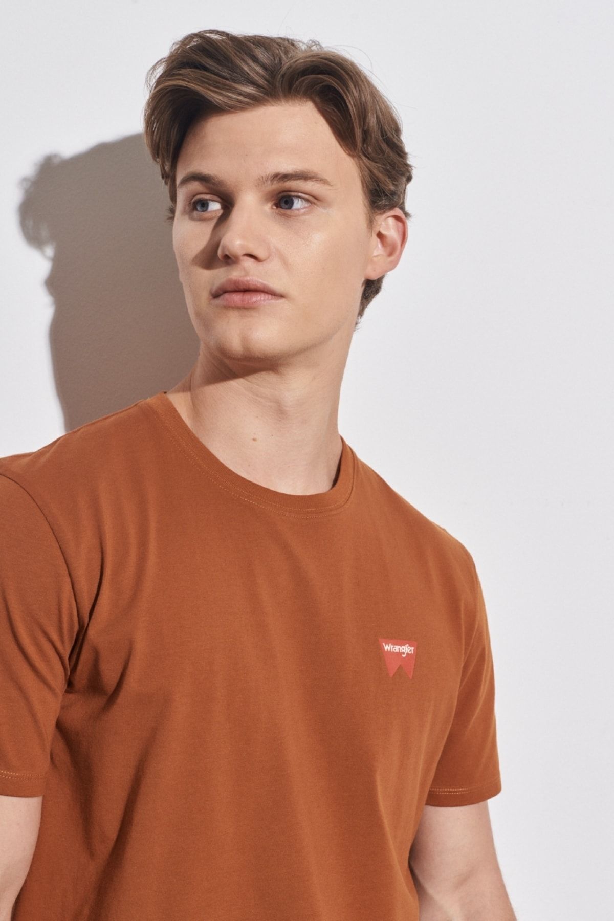 تی شرت چند رنگ مردانه به طور منظم مناسب برش طبیعی 100 ٪ یقه دوچرخه پنبه ای قهوه t shirt Wrangler