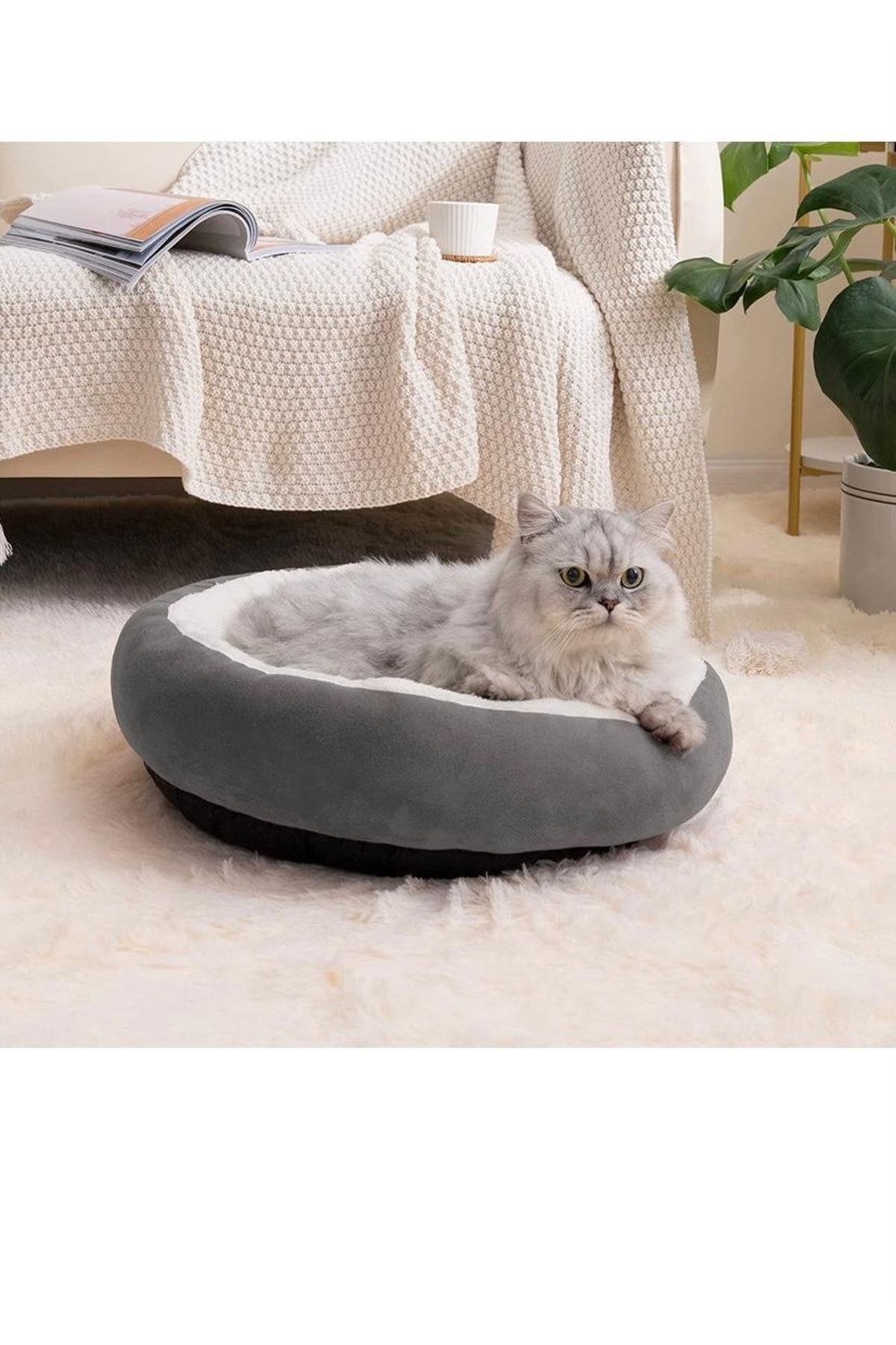 تشک سگ و گربه سایز 55×55 از کالکشن Plus پت اسنو PETSNOW