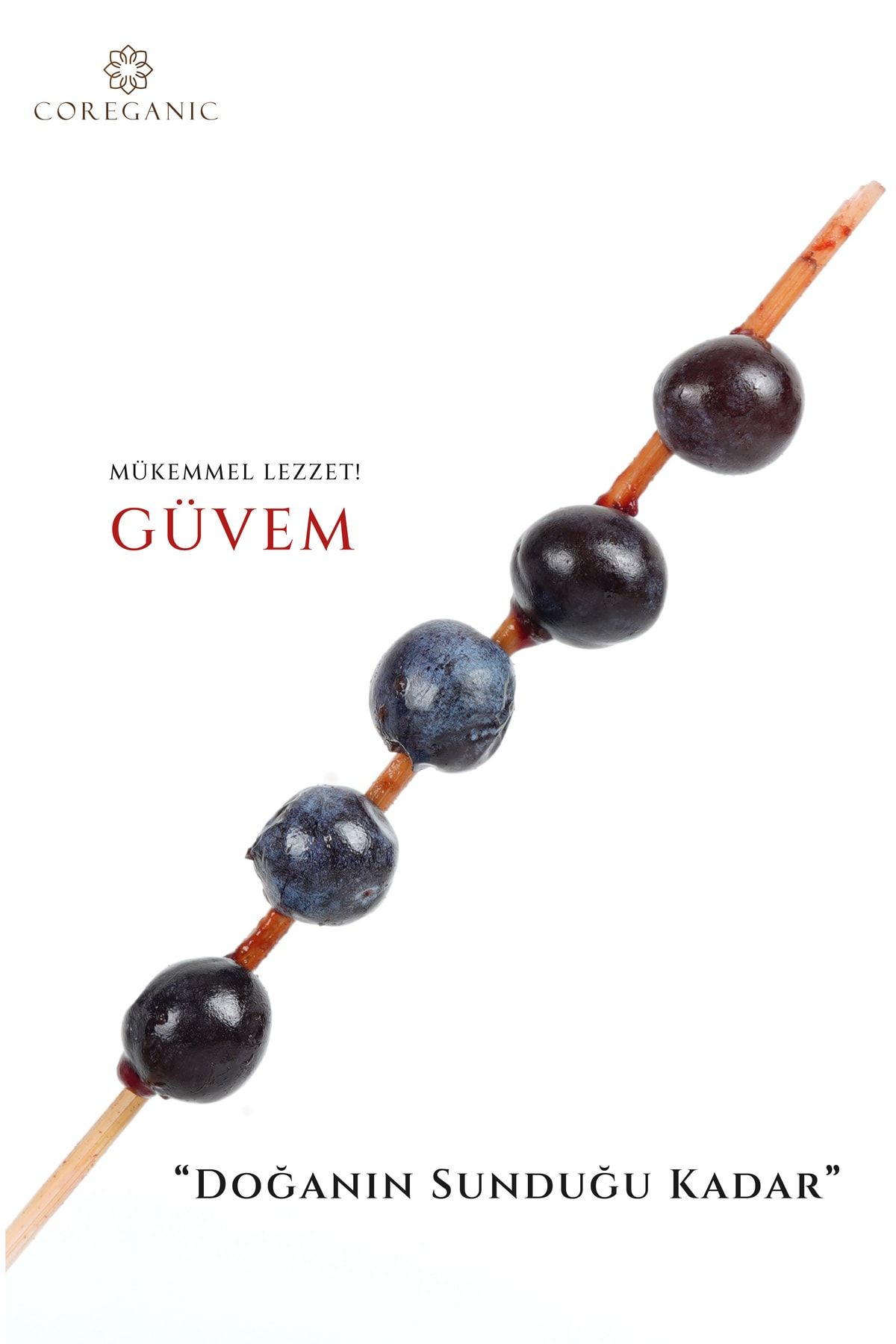Güvem Eriği Özü - 4