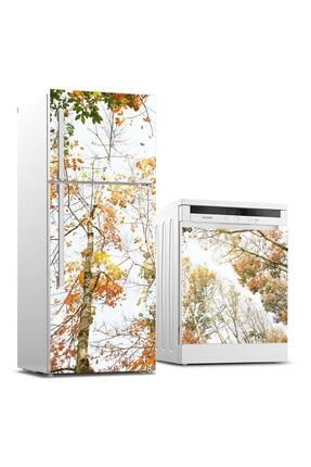 Sonbahar Ağaçlar Buzdolabı Ve Bulaşık Makinası Sticker Kaplama Etiketi bt-98