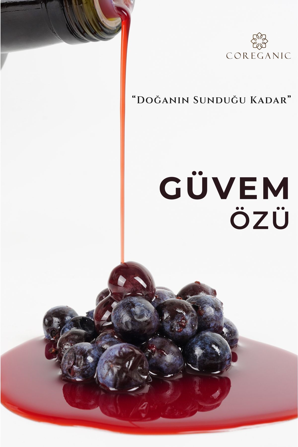 Güvem Eriği Özü - 5