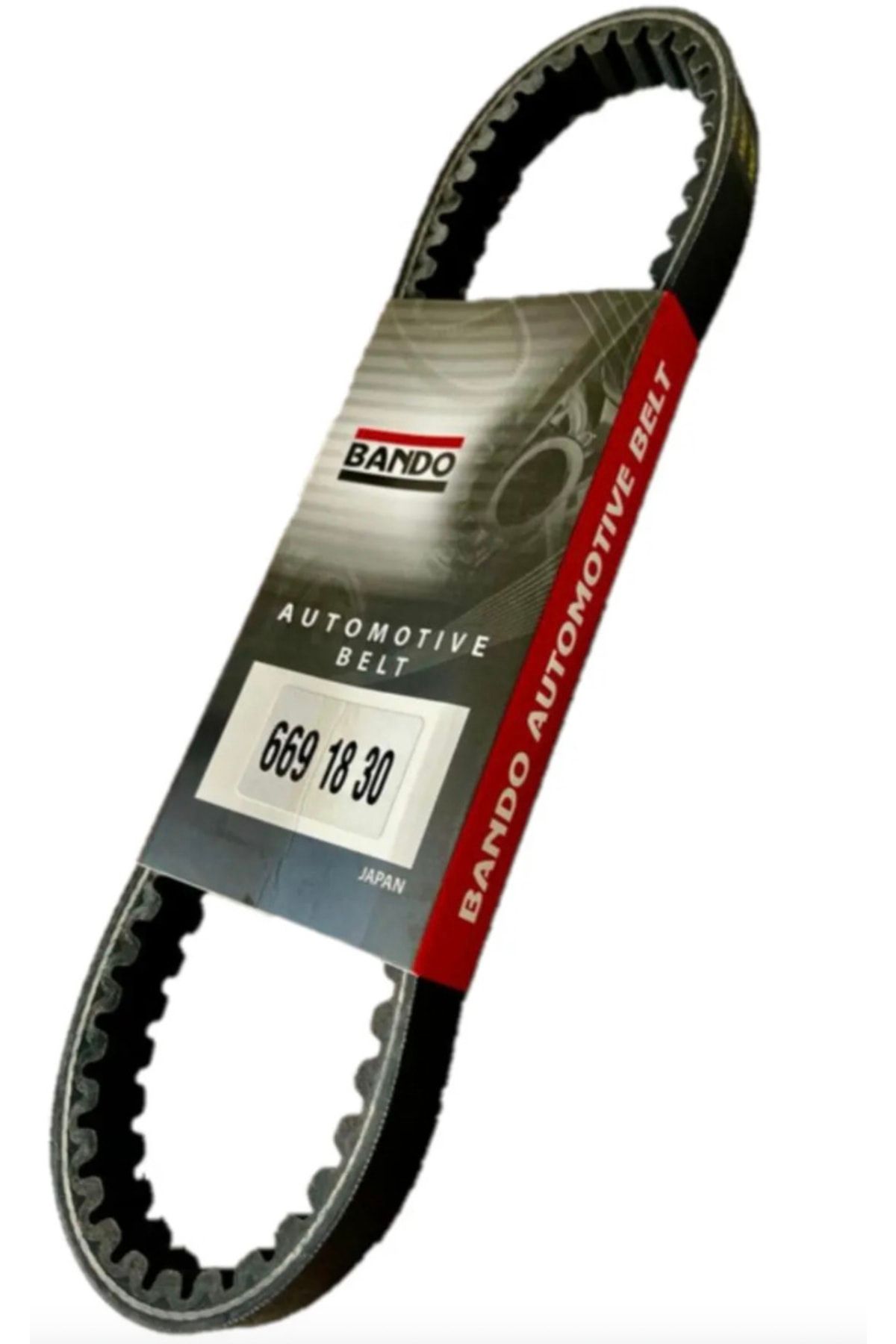 Belt 669 outlet