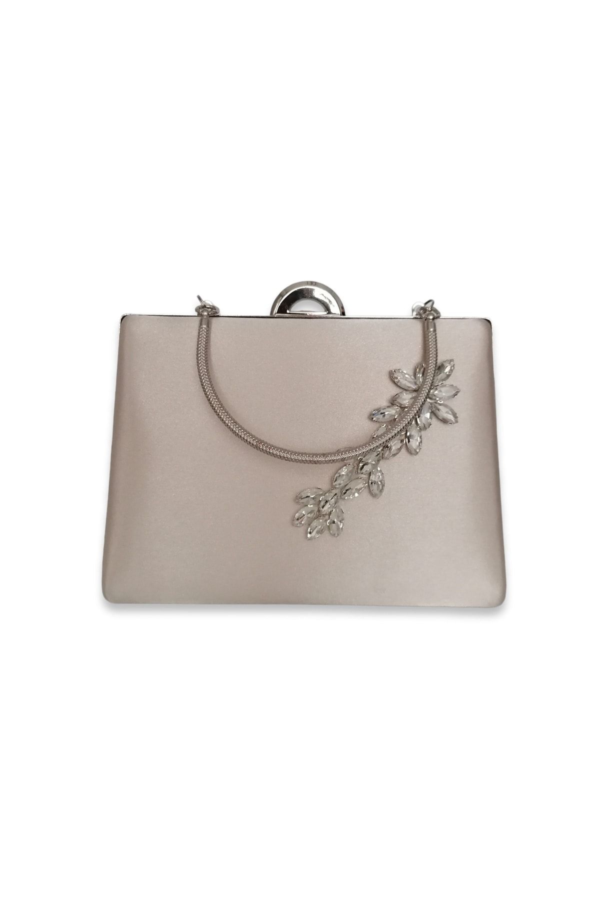 Nude and 2025 silver clutch bag