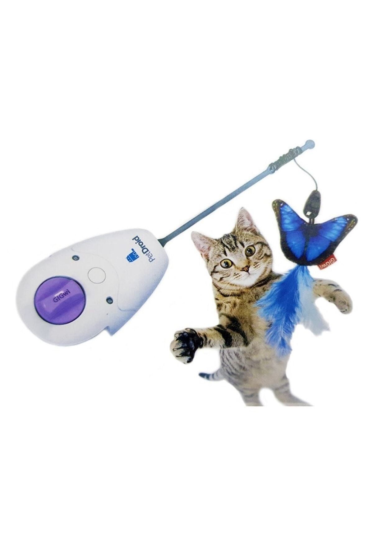 Petdroid cheap