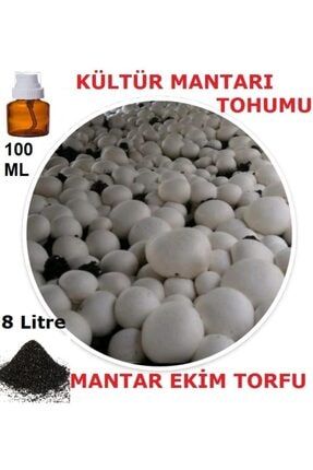 100 Ml Kültür Mantarı Tohumu + 8 Lt Mantar Ekim Torfu (başka Bir Şeye Gerek Yok) 100KMT8METKS