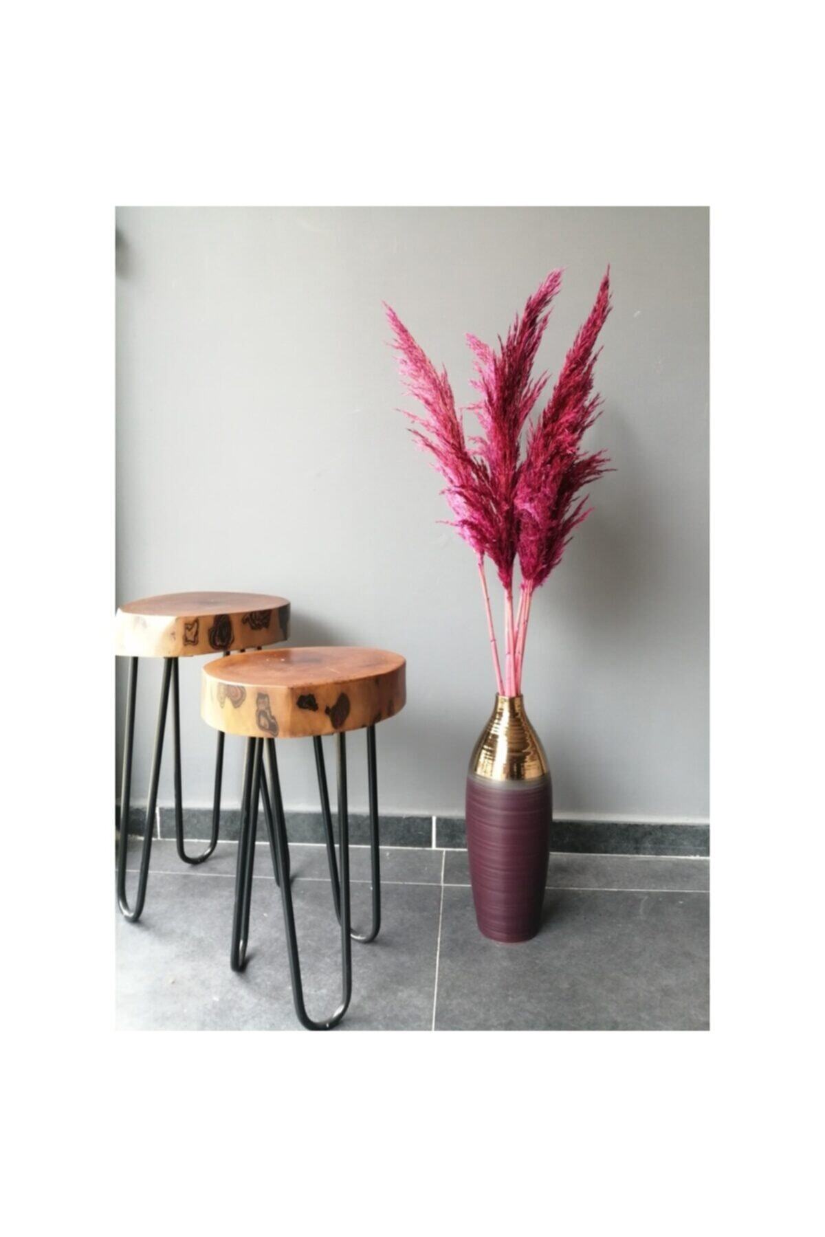 Aker Hediyelik Renkli Doğal Pampas Otu Bitkisi 20 Adet Fuşya Kuru Doğal ...