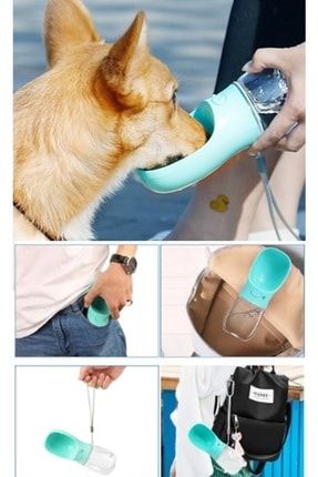 indirimkap tasinabilir kedi kopek sulugu seyahat su sisesi kaseli emniyetli sizdirmaz kutulu 350ml turkuaz fiyati yorumlari trendyol