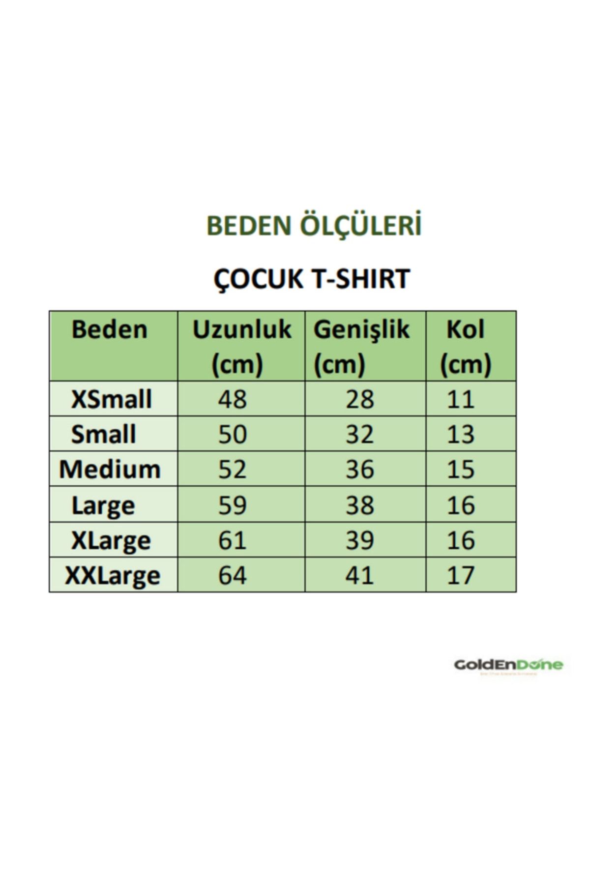 - Yavru Aslan- Baskılı Çocuk Tişört Boyama Seti