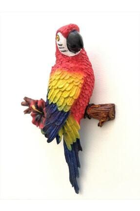 Dekoratif Dal Üstünde Renkli Papağan Duvar Süsü ZBK23