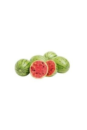 Nadit Ithal Baby Watermelon Minyatür Bebek Karpuzu Tohumu Karpuz Tohumu 3 Tohum 20683