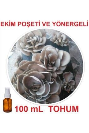 100 Ml Sıvı Istiridye Kayın Kavak Mantarı Tohumu + Ekim Poşeti + Yönerge 100MLIKKMTKS