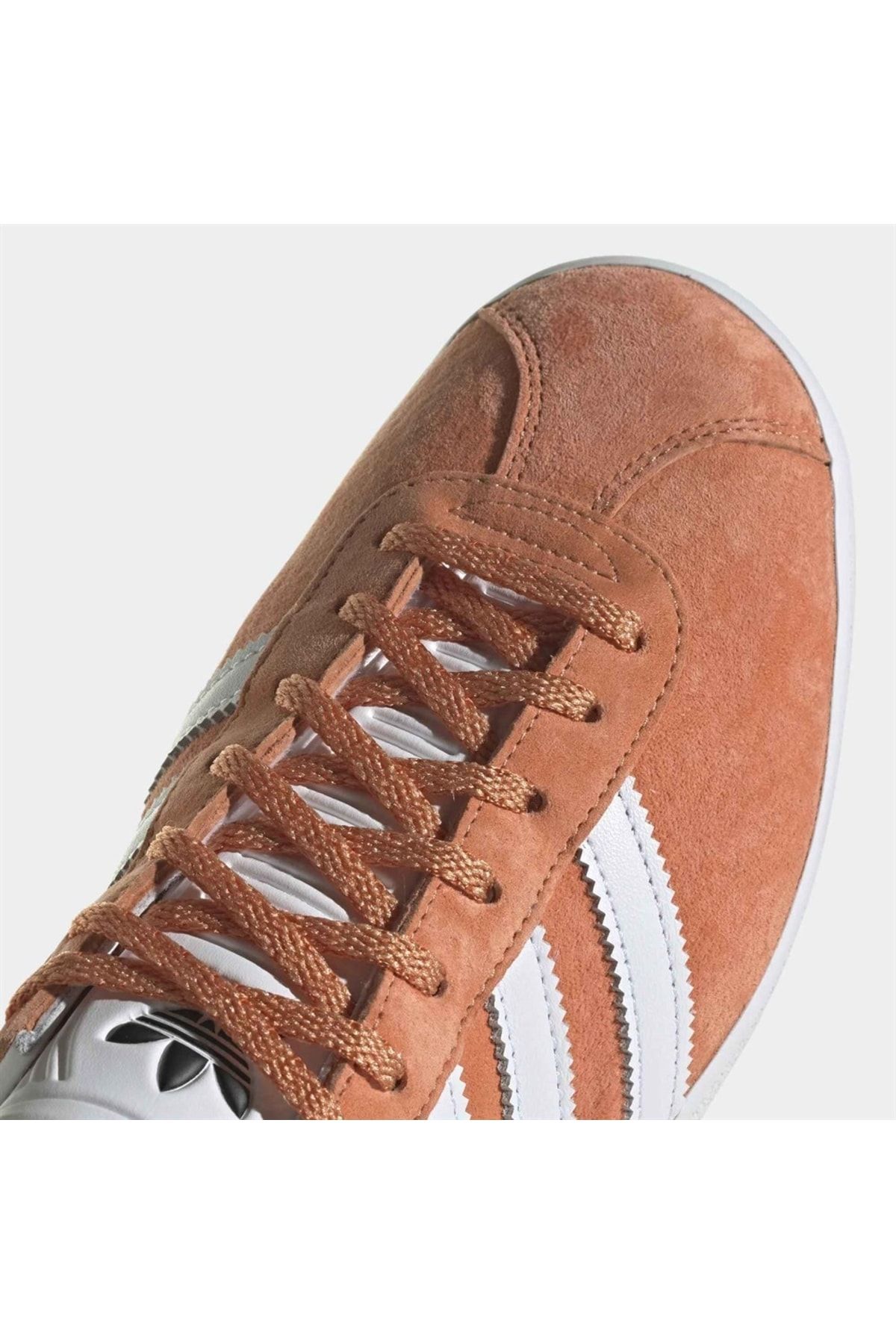 Gazelle homme camel sale